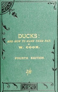 The  late 19th century was all about ducks, but in the early 21st century we know better